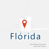Mapa com localização da Agência AC FLORIDA